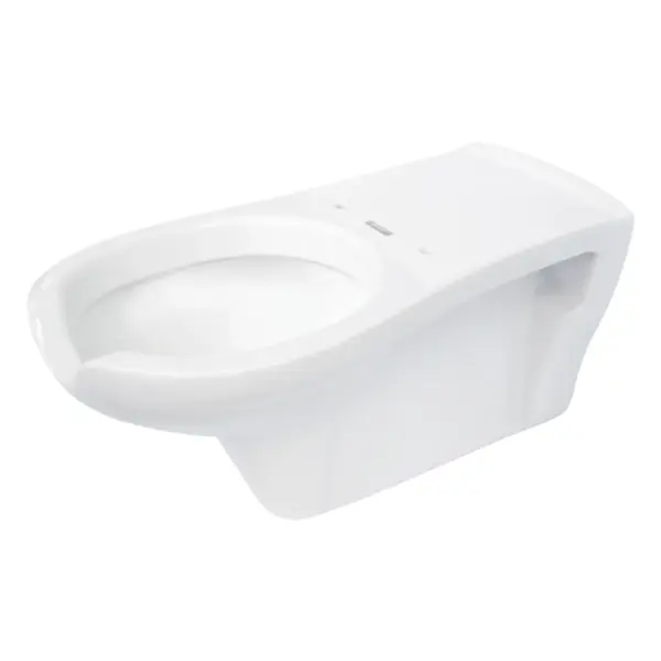Seinapealne WC-pott liikumispuudega inimestele Deante Vital 680x368 mm, valge
