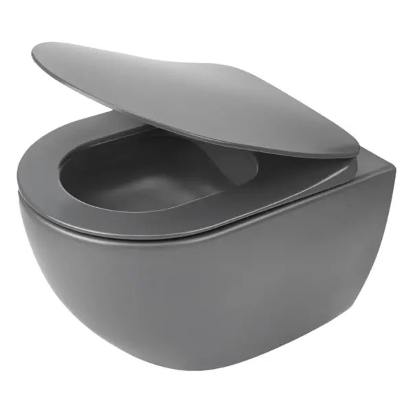 Seinapealne WC-pott prill-lauaga Deante Peonia 510x360 mm, titaan/antratsiit
