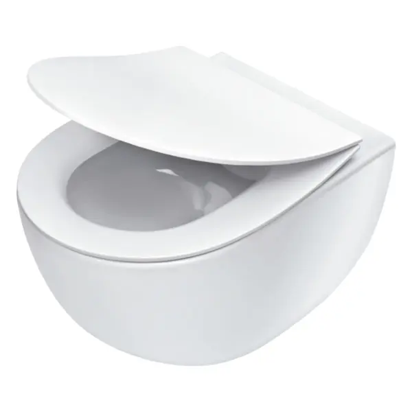 Seinapealne WC-pott prill-lauaga Deante Peonia, valge